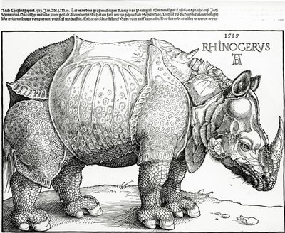 The Rhinoceros by Albrecht Dürer